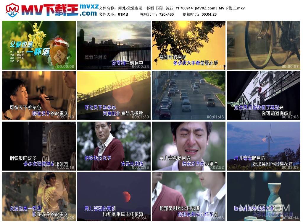 闻梵-父爱也是一杯酒_国语_流行_YF700914